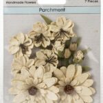 Enchanted Petals - Parchment