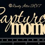 Capture this Moment