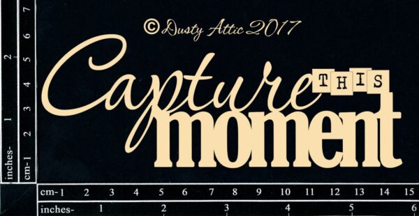 Capture this Moment