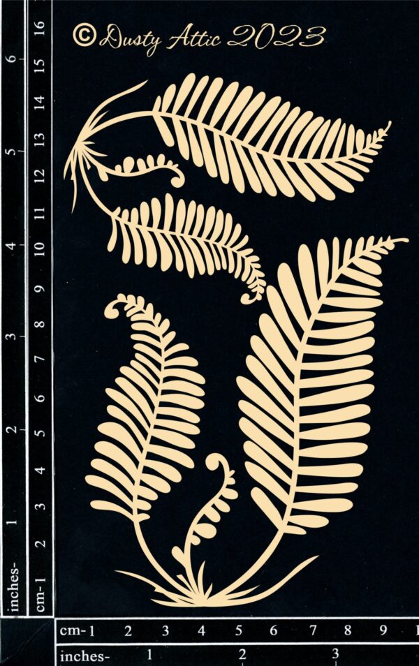 Forest Ferns #1