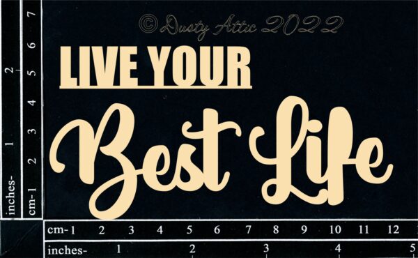 Live your Best Life