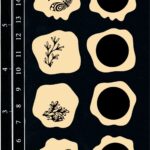 Wax Seals - Floral