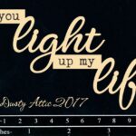 You Light up my Life